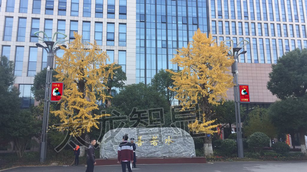 湖南長(zhǎng)沙天園地基LED燈桿屏項(xiàng)目 (2).jpg 湖南長(zhǎng)沙天園地基LED燈桿屏項(xiàng)目 (2).jpg