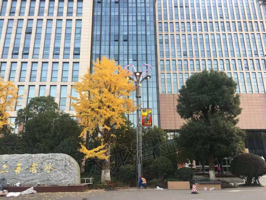 湖南長(zhǎng)沙天園地基LED燈桿屏項(xiàng)目 (8).jpg 湖南長(zhǎng)沙天園地基LED燈桿屏項(xiàng)目 (8).jpg