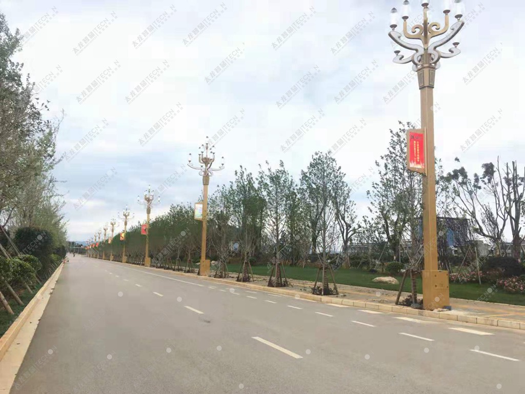 太龍智顯云南曲靖LED燈桿屏案例 (1).jpg 太龍智顯云南曲靖LED燈桿屏案例 (1).jpg