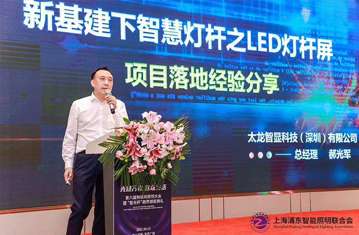 LED燈桿屏,燈桿屏 LED燈桿屏,燈桿屏