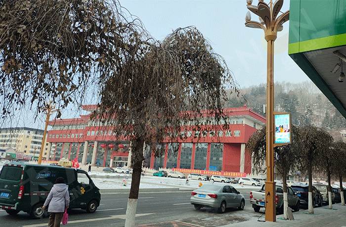 LED燈桿屏,智慧燈桿屏 LED燈桿屏,智慧燈桿屏