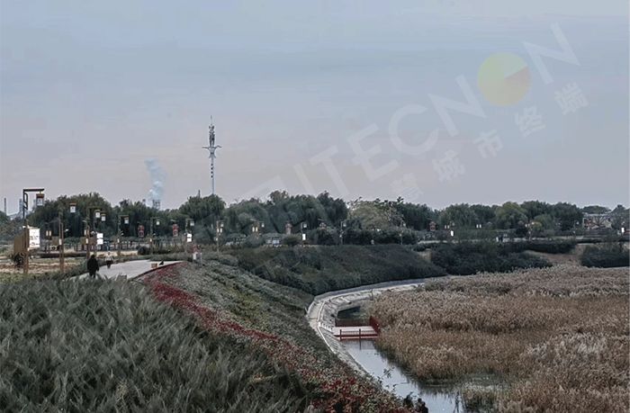 LED燈桿屏,燈桿屏 LED燈桿屏,燈桿屏