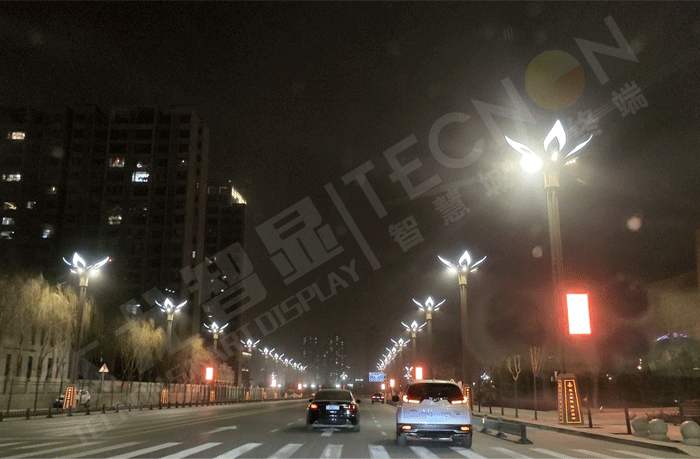 LED燈桿屏 LED燈桿屏