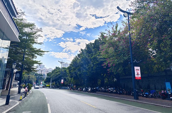 智慧燈桿 智慧燈桿