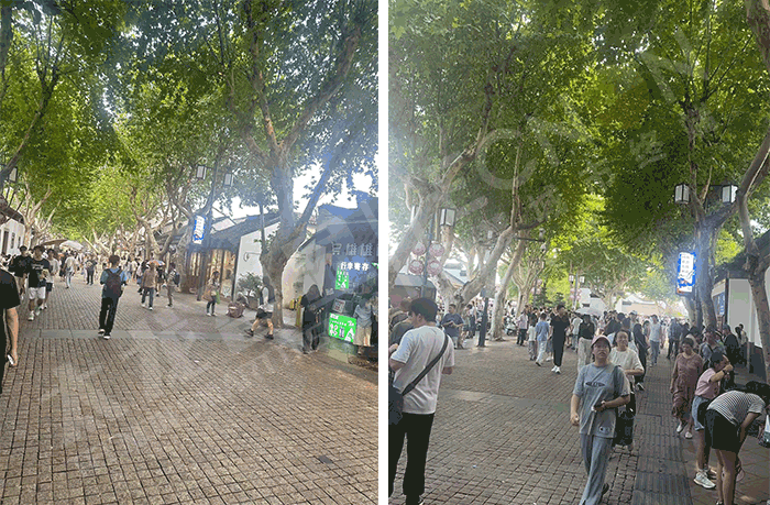 LED燈桿屏 LED燈桿屏