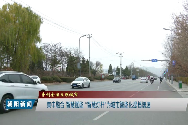 LED燈桿屏 LED燈桿屏