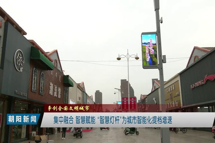 LED燈桿屏 LED燈桿屏