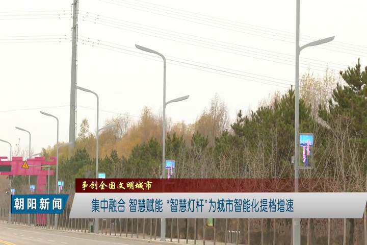 LED燈桿屏 LED燈桿屏