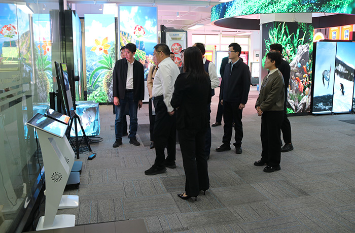 LED燈桿屏 LED燈桿屏