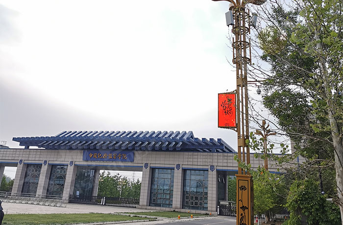 LED燈桿屏 LED燈桿屏