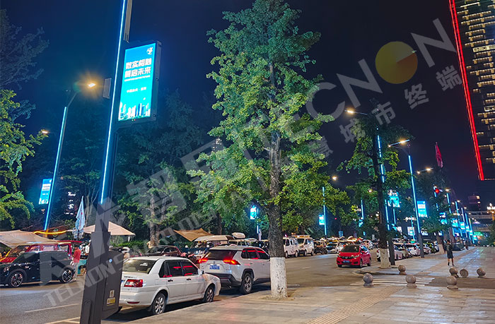 Smart light pole Smart light pole